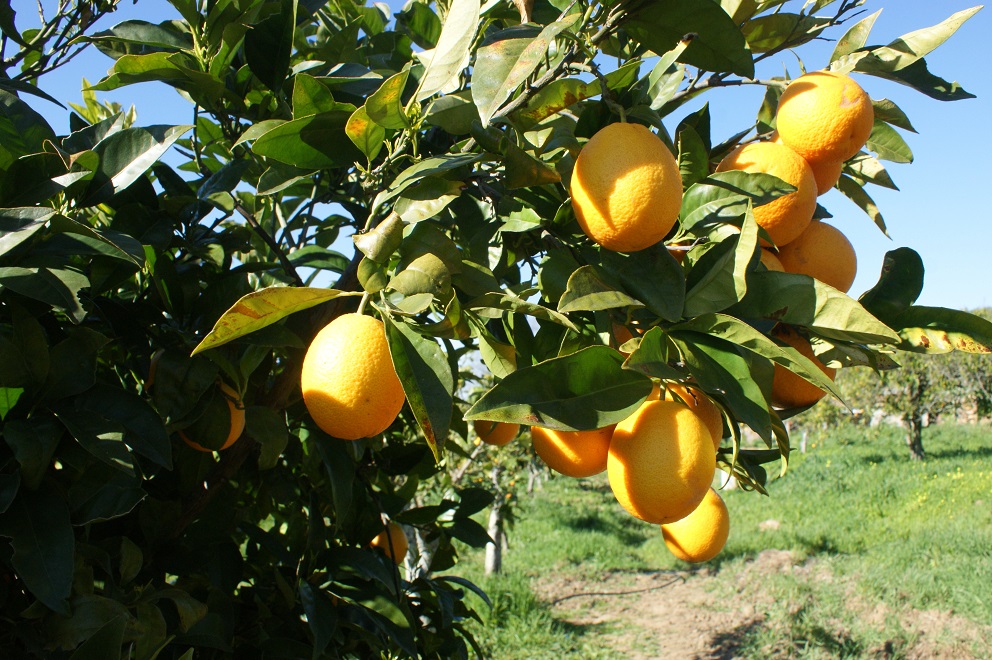 Huisjes_Alentejo_Portugal_1