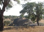 Huisjes_Alentejo_Portugal_2