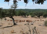 Huisjes_Alentejo_Portugal_4