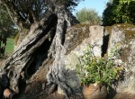 Huisjes_Alentejo_Portugal_6