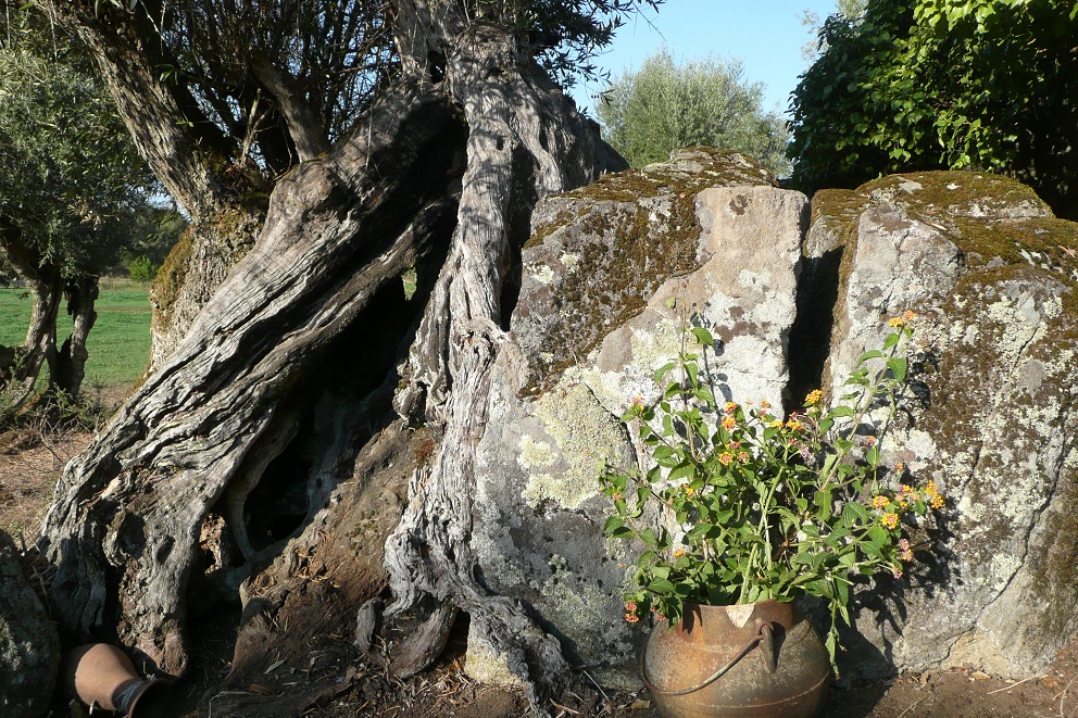 Huisjes_Alentejo_Portugal_6
