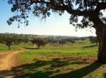 Wandelen_portugal