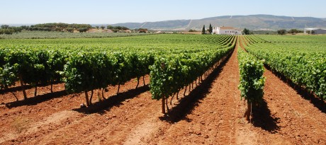 Alentejo4
