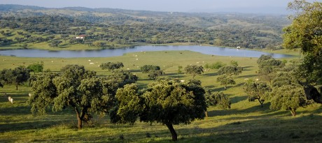 Omgeving3