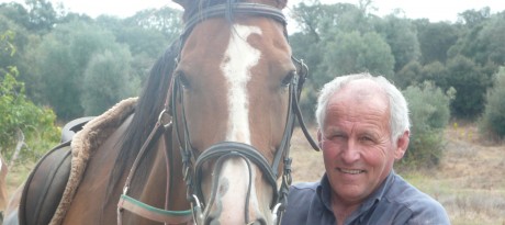 Paarden1