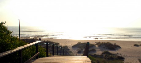 Strand7
